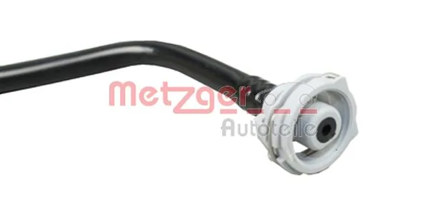 2420900 Metzger