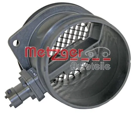 0890381 Metzger