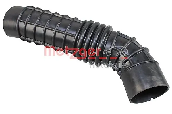 2389039 Metzger