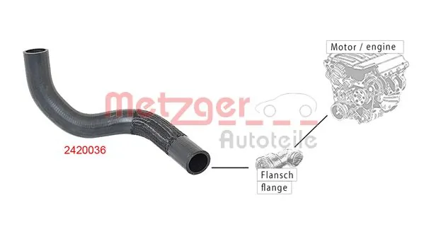 2420036 Metzger