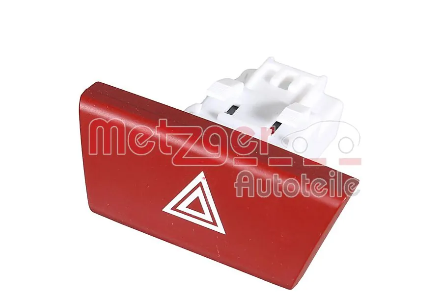 09161185 Metzger
