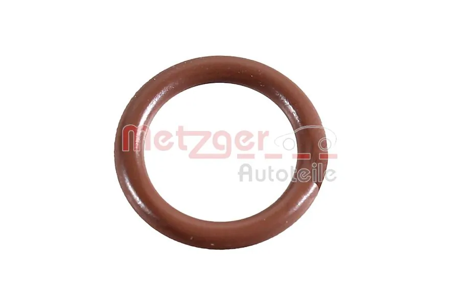 2430050 Metzger