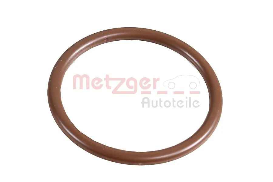 2430018 Metzger