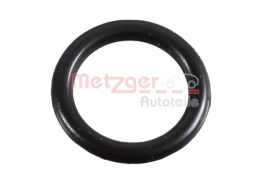 2430057 Metzger