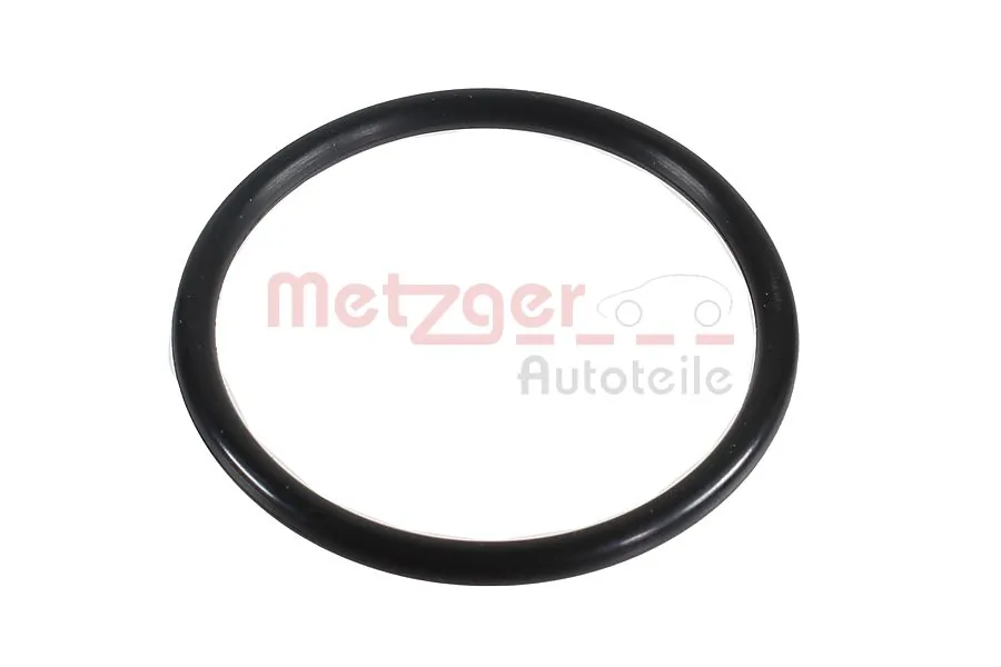 2430062 Metzger