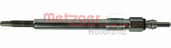 H1207 Metzger