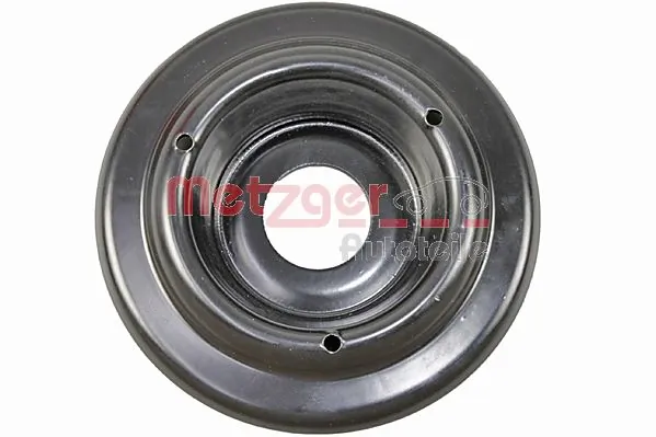 6490309 Metzger