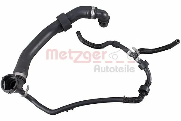 2421311 Metzger