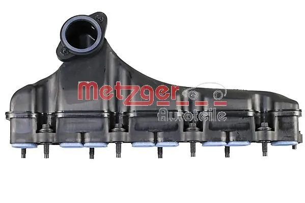 2100099 Metzger