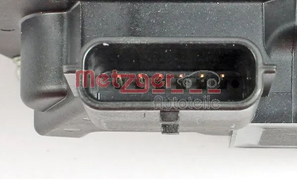 0892375 Metzger Mariposa de admisión