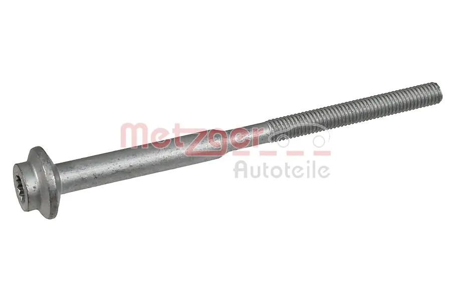 0873029 Metzger