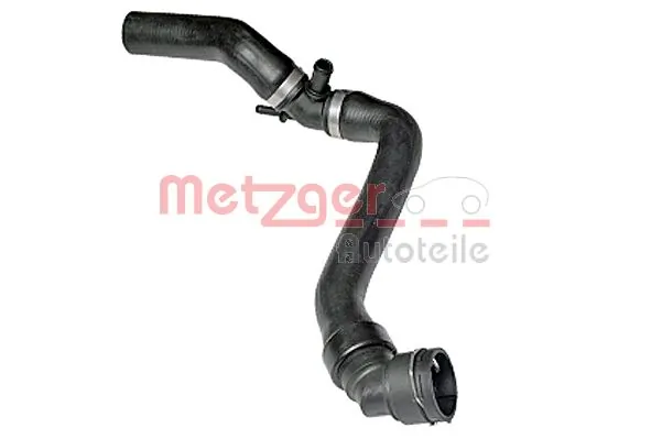 2420795 Metzger