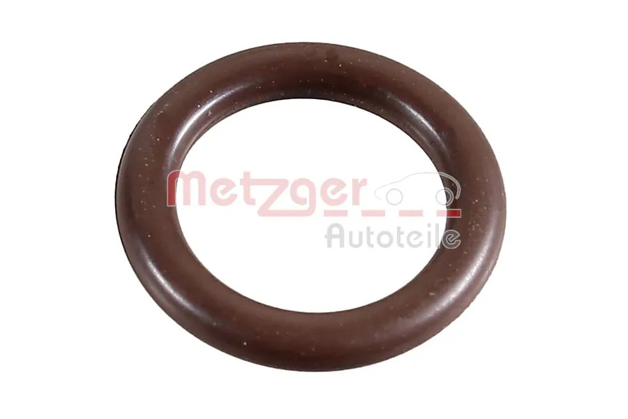 2430084 Metzger