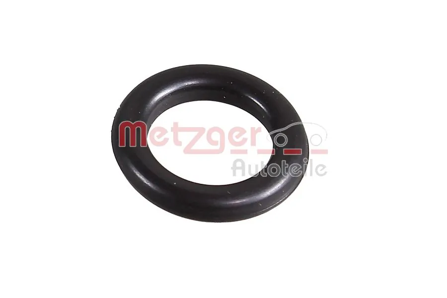 2430082 Metzger