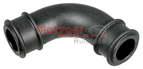 2389013 Metzger