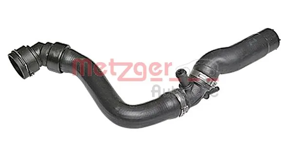 2420780 Metzger