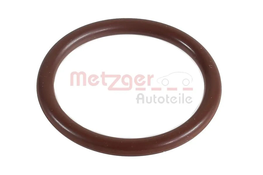 2430019 Metzger