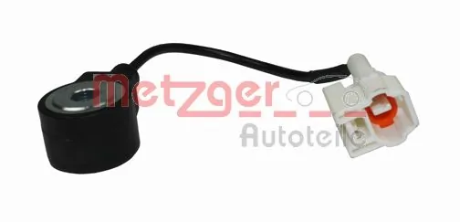 0907099 Metzger