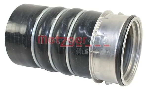 2400318 Metzger