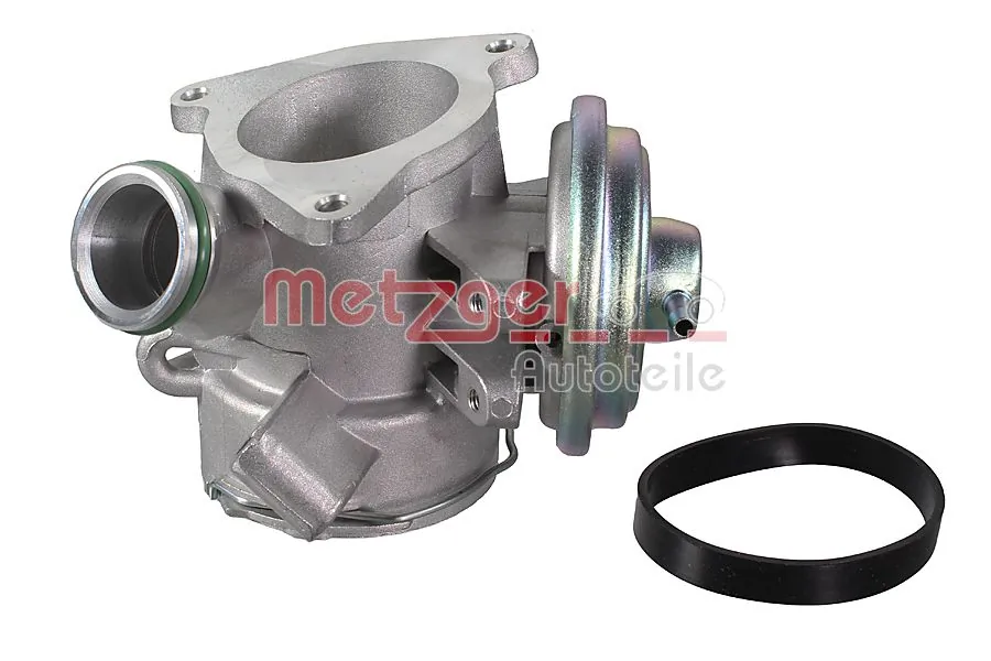 08920091 Metzger