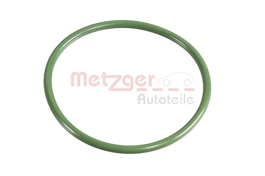 2430036 Metzger