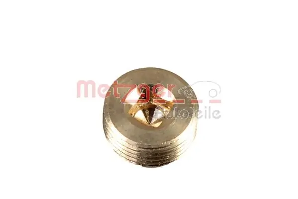 8030072 Metzger