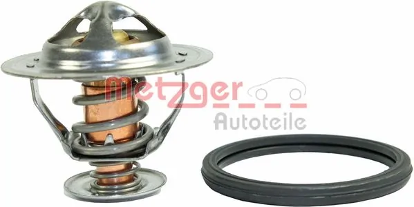 4006198 Metzger