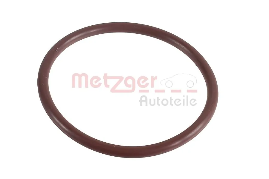 2430043 Metzger