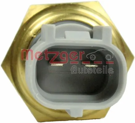 0905432 Metzger