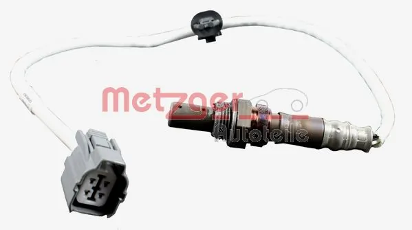 0893110 Metzger