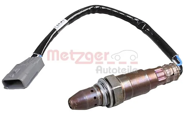0893691 Metzger