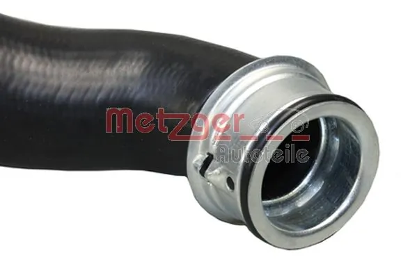 2420330 Metzger