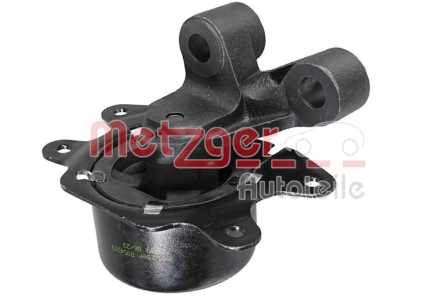 8054319 Metzger