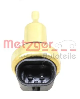 0905478 Metzger