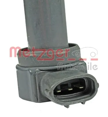 0880209 Metzger
