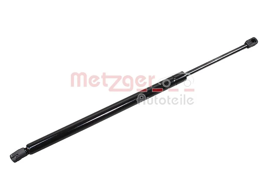2110779 Metzger