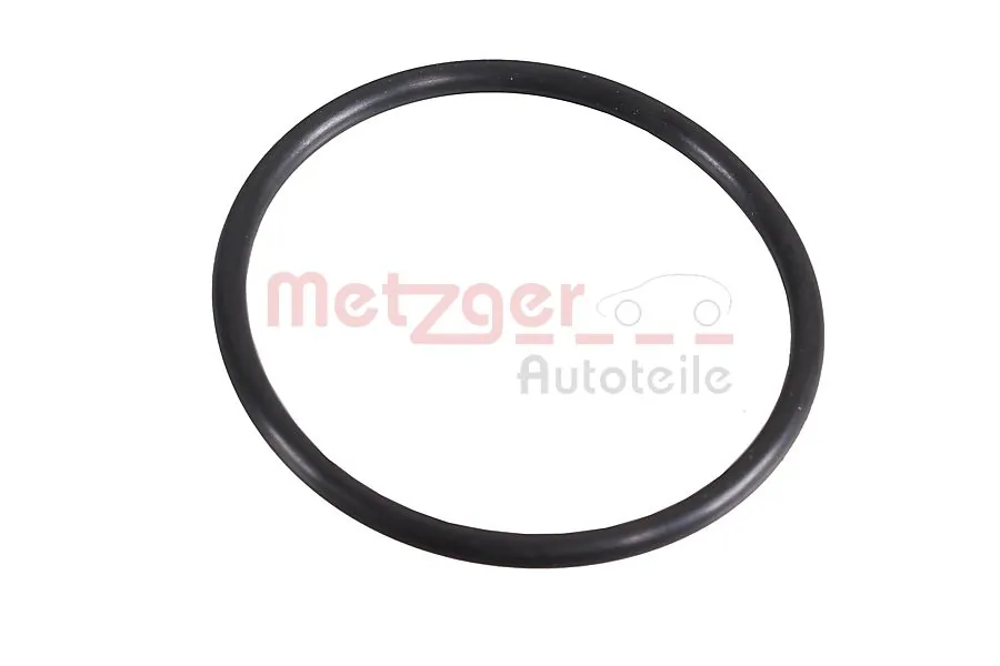 2430106 Metzger