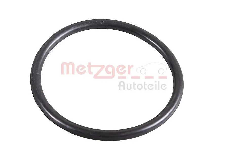2430031 Metzger