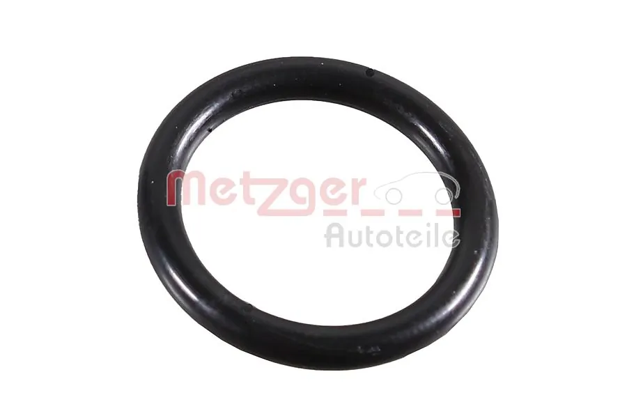 2430087 Metzger