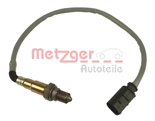 0893319 Metzger