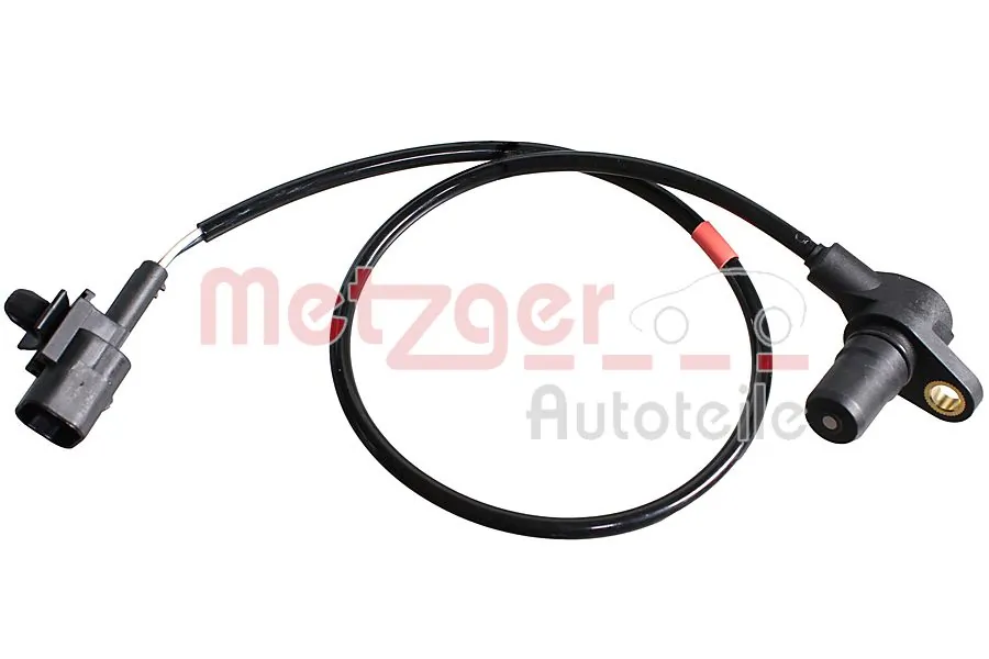 0909100 Metzger
