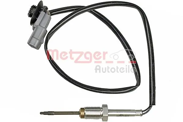 0894668 Metzger