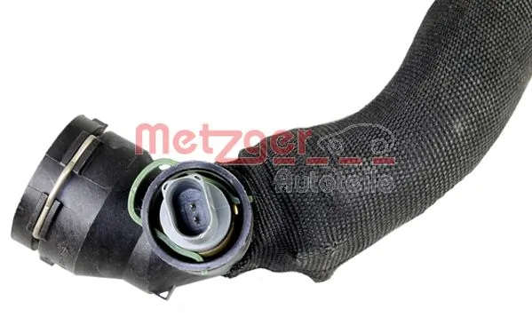 2420863 Metzger