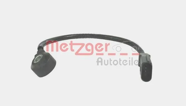 0907083 Metzger