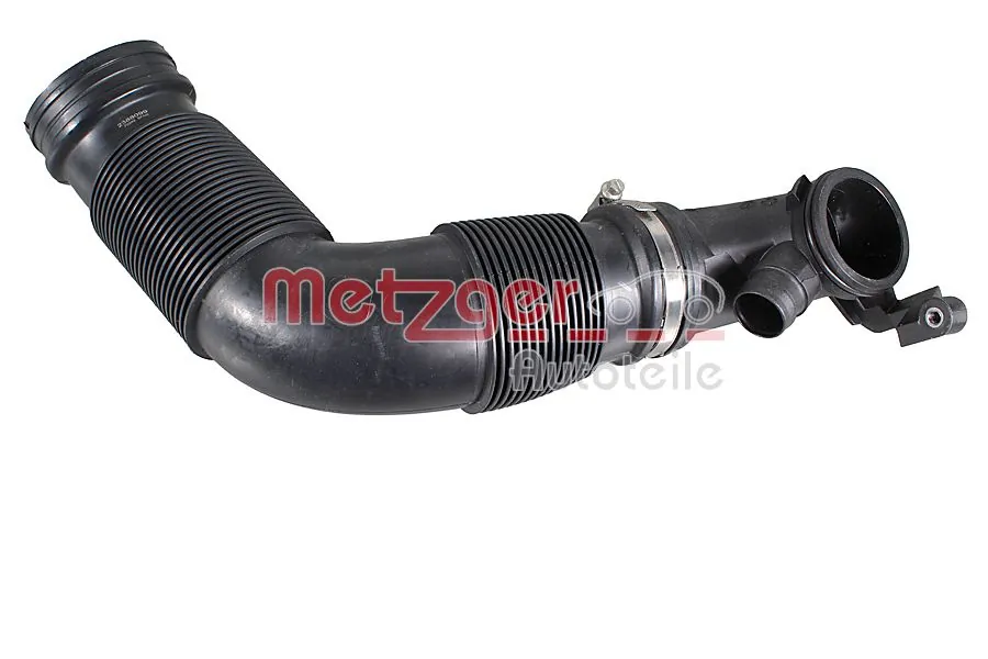 2388099 Metzger