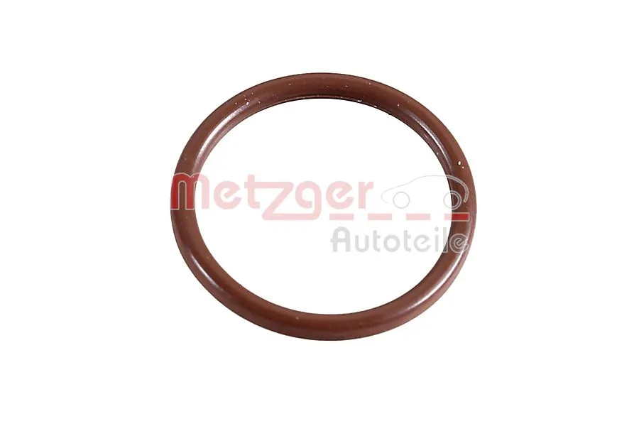 2430115 Metzger