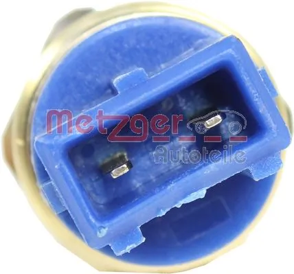 Sensor de temperatura 181076 Cargo