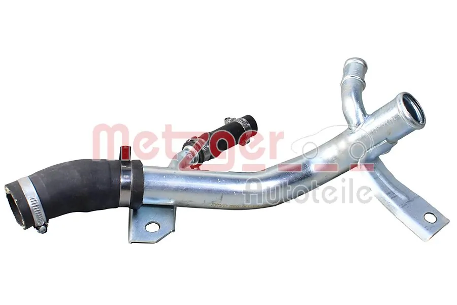 Comprar Manguera radiador Ford Focus I DFW