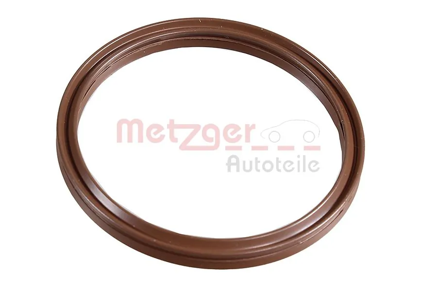 2430010 Metzger