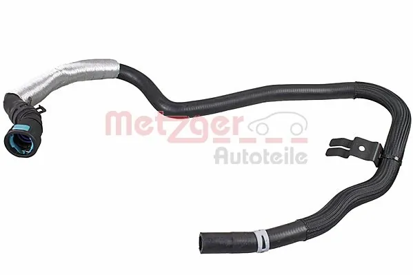 2421316 Metzger